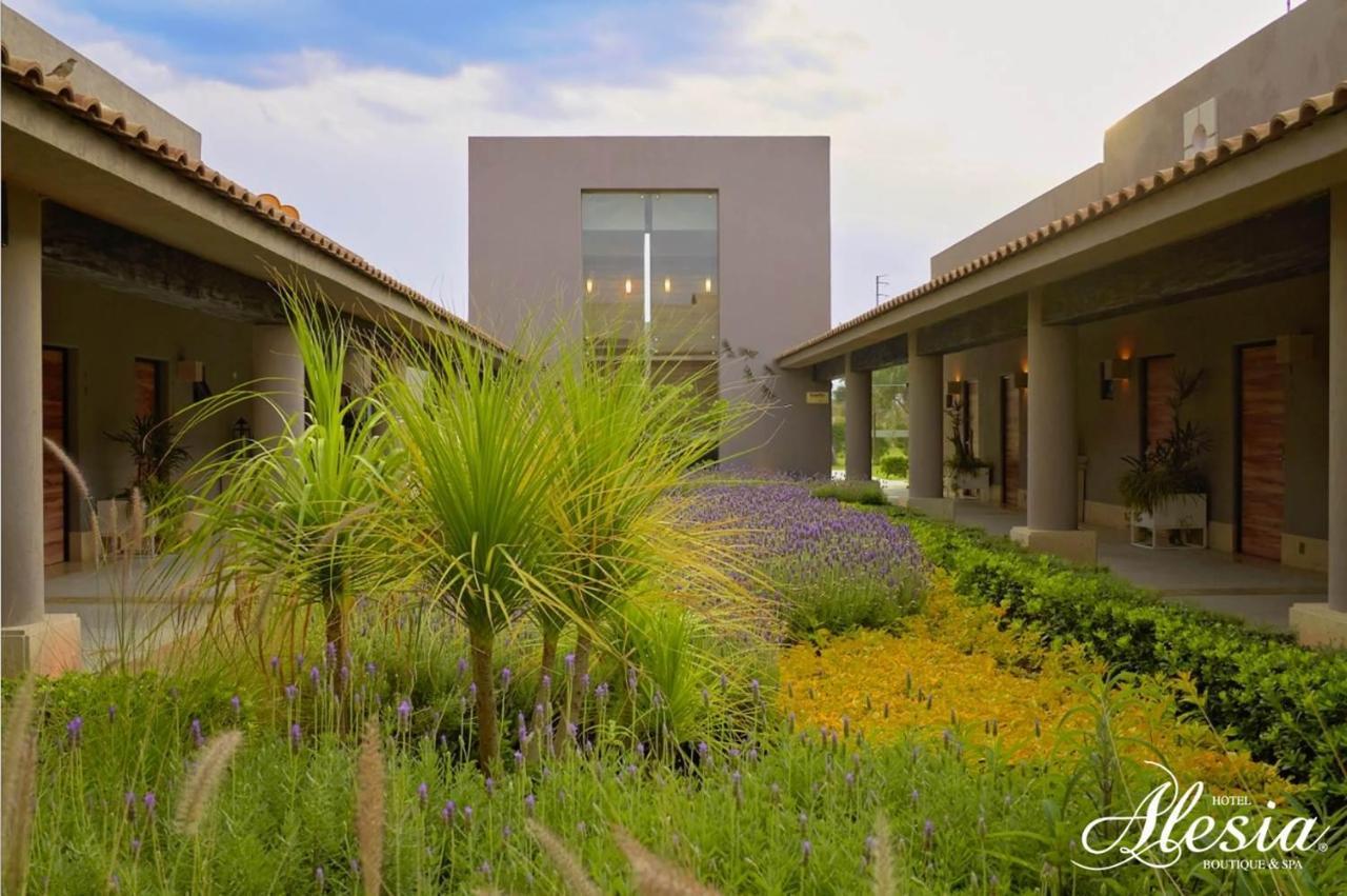 Alesia - Boutique Hotel & Spa Ακουασκαλιέντες Εξωτερικό φωτογραφία